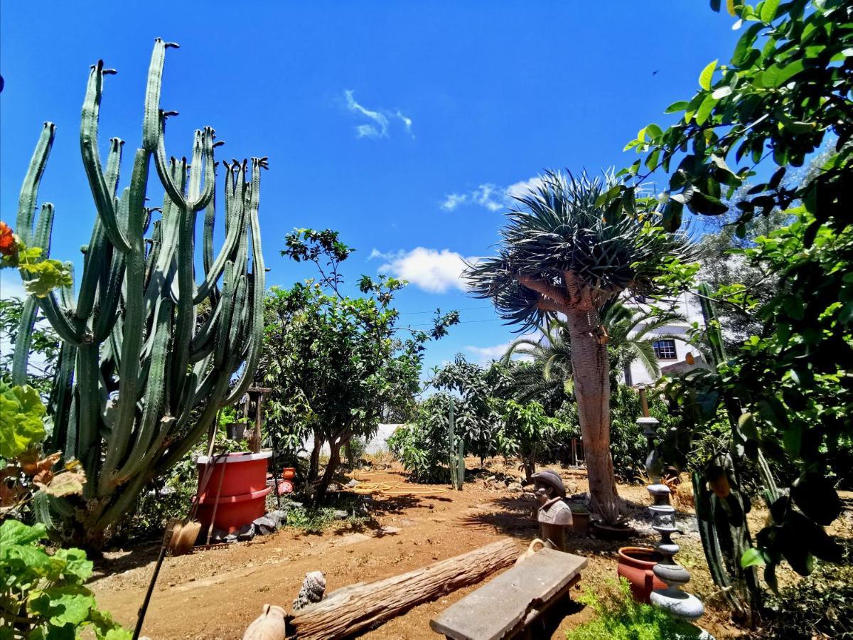 Casa Antonia Guest House Icod De Los Vinos Dış mekan fotoğraf