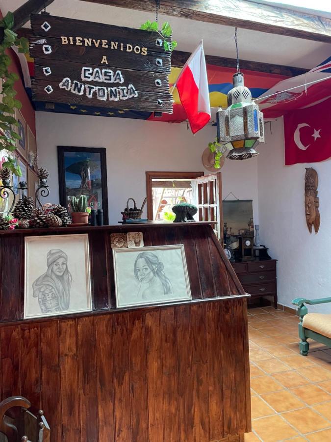 Casa Antonia Guest House Icod De Los Vinos Dış mekan fotoğraf