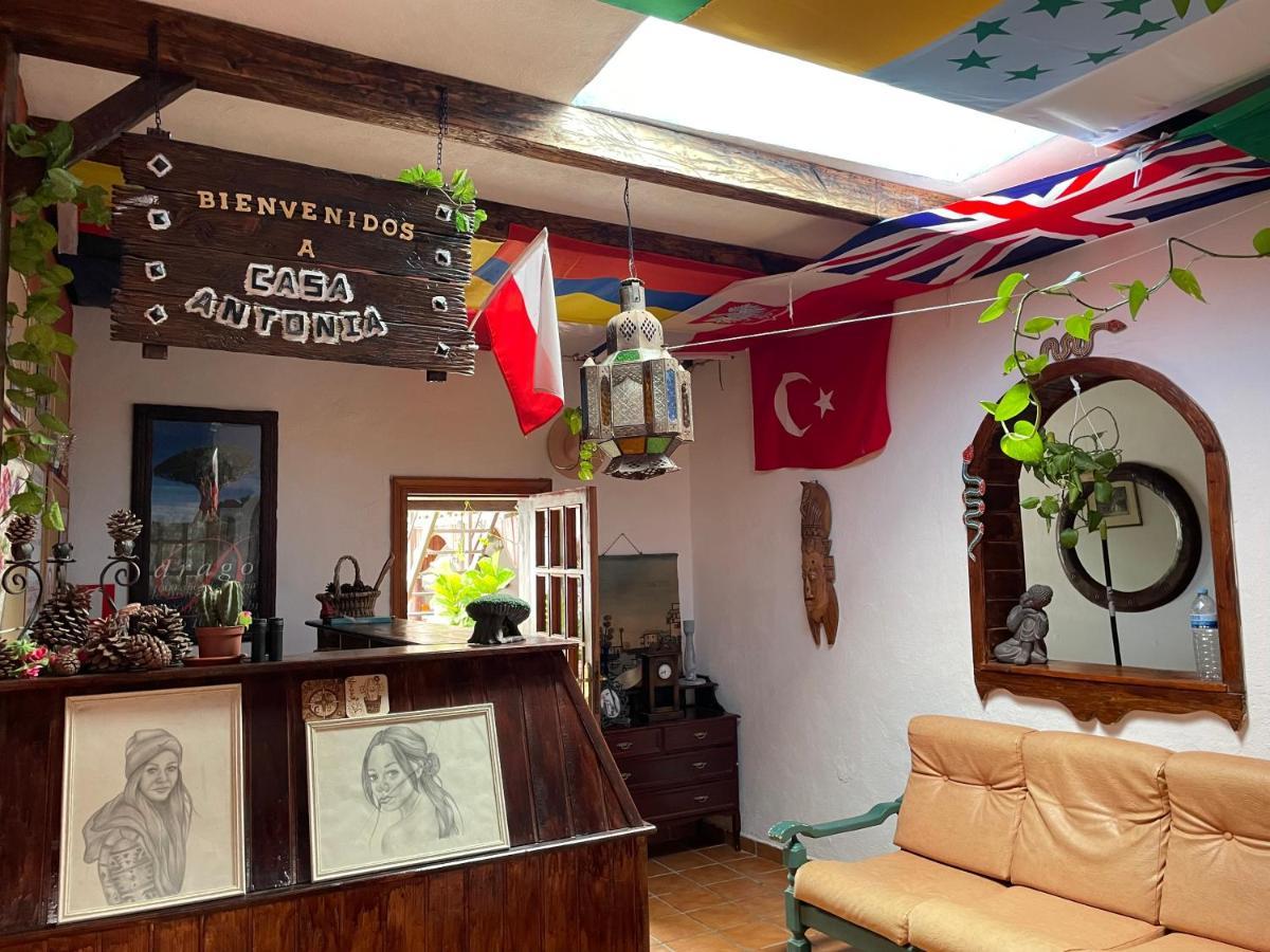 Casa Antonia Guest House Icod De Los Vinos Dış mekan fotoğraf